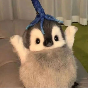 Meet your Posher, Jaime